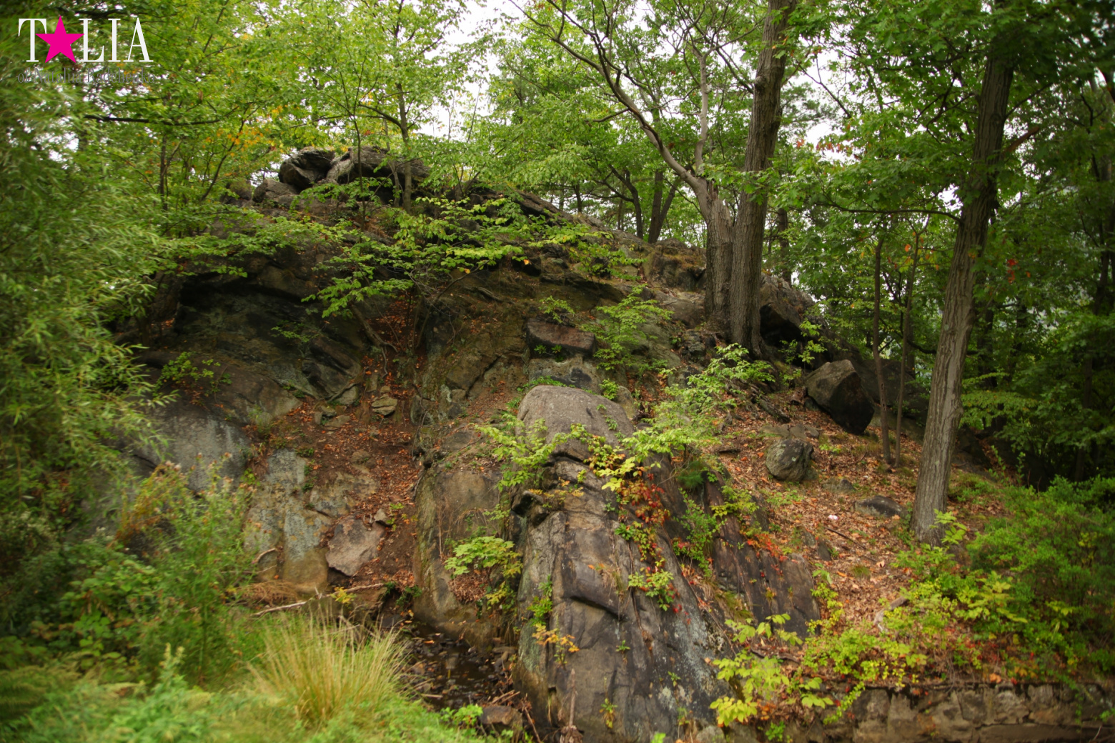 Bear Mountain, New York